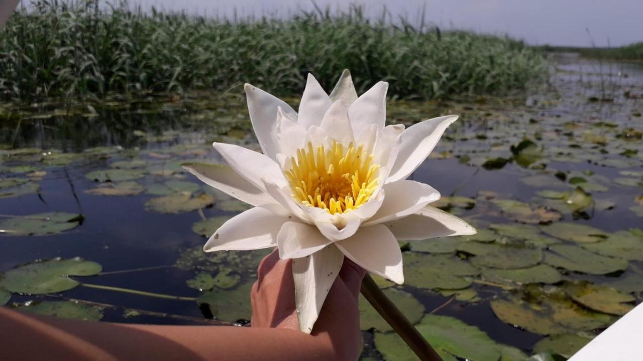Delta Mayanka Mineri 외부 사진
